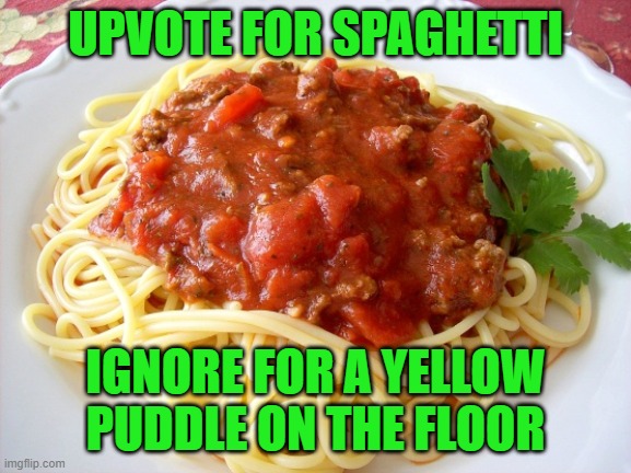 Spaghetti  | UPVOTE FOR SPAGHETTI; IGNORE FOR A YELLOW PUDDLE ON THE FLOOR | image tagged in spaghetti | made w/ Imgflip meme maker