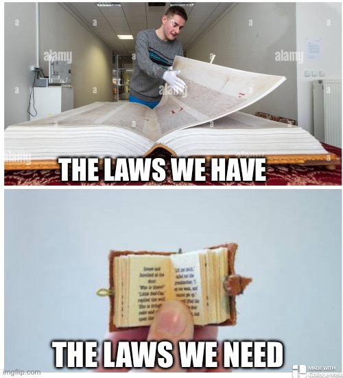 Legal code lawyers | THE LAWS WE HAVE; THE LAWS WE NEED | image tagged in memes | made w/ Imgflip meme maker