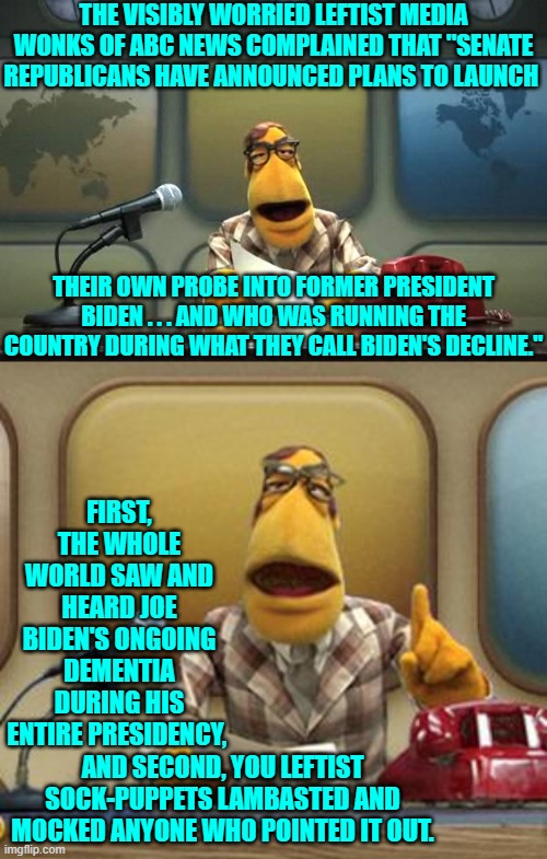 Face it, you leftist media wonks have been busted. | THE VISIBLY WORRIED LEFTIST MEDIA WONKS OF ABC NEWS COMPLAINED THAT "SENATE REPUBLICANS HAVE ANNOUNCED PLANS TO LAUNCH; THEIR OWN PROBE INTO FORMER PRESIDENT BIDEN . . . AND WHO WAS RUNNING THE COUNTRY DURING WHAT THEY CALL BIDEN'S DECLINE."; FIRST, THE WHOLE WORLD SAW AND HEARD JOE BIDEN'S ONGOING DEMENTIA DURING HIS ENTIRE PRESIDENCY, AND SECOND, YOU LEFTIST SOCK-PUPPETS LAMBASTED AND MOCKED ANYONE WHO POINTED IT OUT. | image tagged in muppet news flash | made w/ Imgflip meme maker