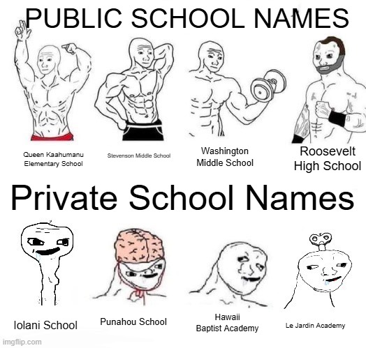 Public vs. Private School Names | PUBLIC SCHOOL NAMES; Roosevelt High School; Stevenson Middle School; Washington Middle School; Queen Kaahumanu Elementary School; Private School Names; Punahou School; Hawaii Baptist Academy; Iolani School; Le Jardin Academy | image tagged in x in the past vs x now | made w/ Imgflip meme maker
