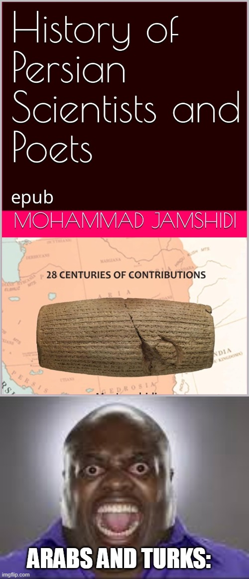 Don't associate Persians with Arabs. They are different from each other. Cept When I make memes about them all the damn time | ARABS AND TURKS: | image tagged in memes,history,iran,iranian,persian,arab | made w/ Imgflip meme maker