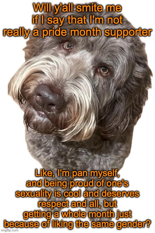 Just my opinion though | Will y'all smite me if I say that I'm not really a pride month supporter; Like, I'm pan myself, and being proud of one's sexuality is cool and deserves respect and all, but getting a whole month just because of liking the same gender? | image tagged in norther's dog | made w/ Imgflip meme maker