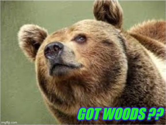 GOT WOODS ?? | image tagged in memes,smug bear | made w/ Imgflip meme maker
