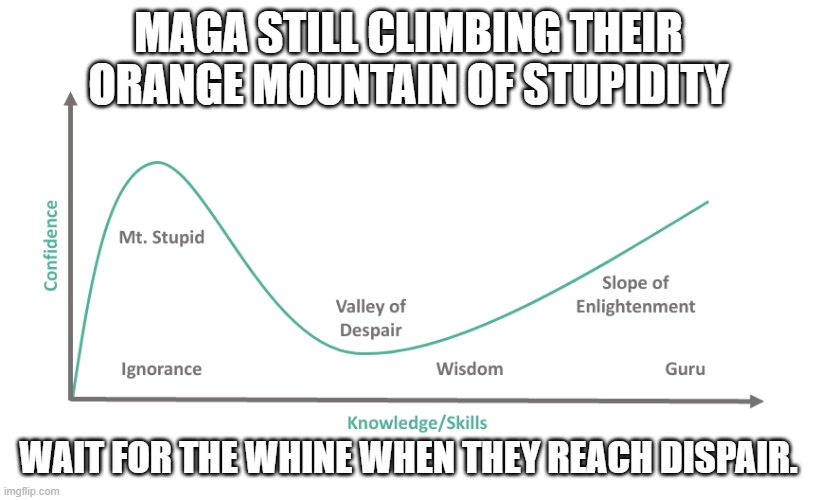 Maga - Zero IQ - Zero Sense - Zero worth | MAGA STILL CLIMBING THEIR ORANGE MOUNTAIN OF STUPIDITY; WAIT FOR THE WHINE WHEN THEY REACH DISPAIR. | image tagged in dunning kruger effect graph | made w/ Imgflip meme maker