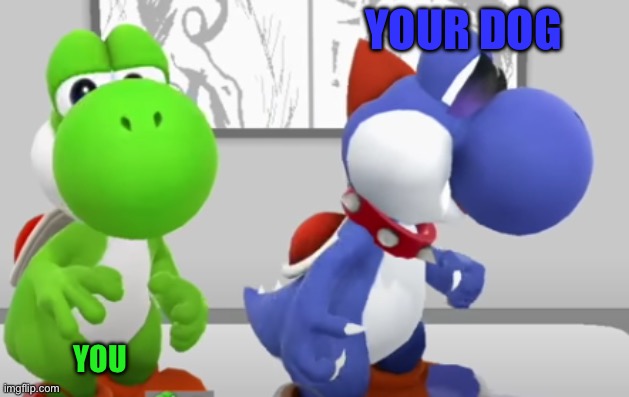 Yoshi XII | YOUR DOG; YOU | image tagged in yoshi boshi,yoshi | made w/ Imgflip meme maker