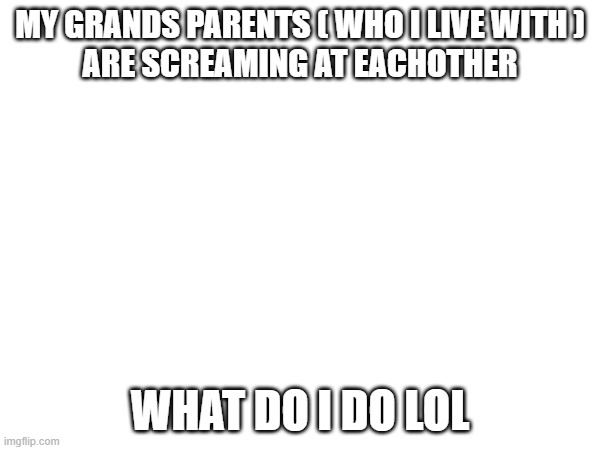 MY GRANDS PARENTS ( WHO I LIVE WITH )
ARE SCREAMING AT EACHOTHER; WHAT DO I DO LOL | made w/ Imgflip meme maker