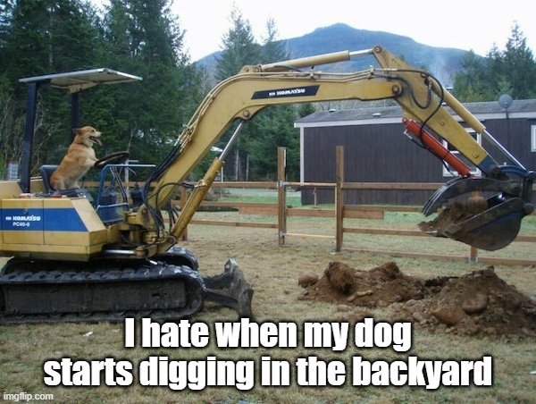 Dog Digging | I hate when my dog starts digging in the backyard | image tagged in dog,bad boy,cute | made w/ Imgflip meme maker