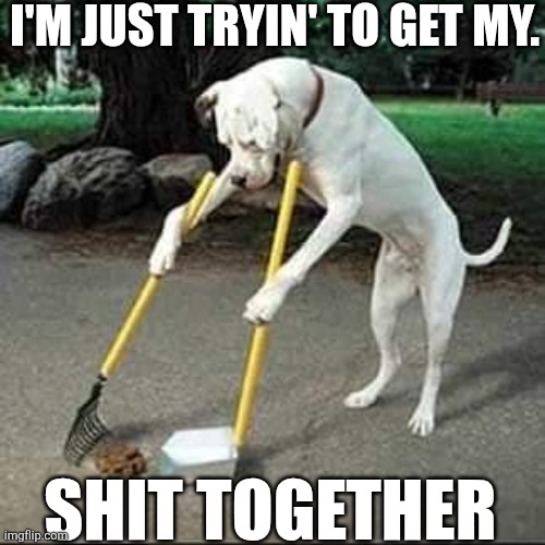 I'm Just Tryin' To Get My Shit Together | I'M JUST TRYIN' TO GET MY. SHIT TOGETHER | made w/ Imgflip meme maker