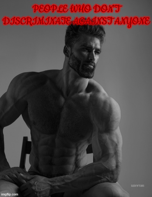 homophobes ruined the giga chad meme | PEOPLE WHO DON'T DISCRIMINATE AGAINST ANYONE | image tagged in giga chad,discrimination,homophobia | made w/ Imgflip meme maker