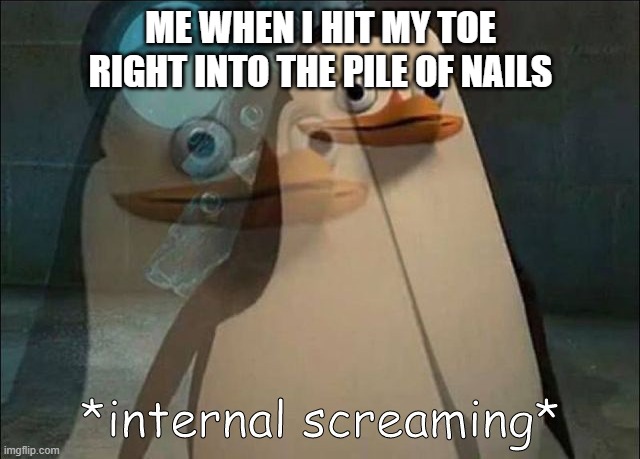 pain | ME WHEN I HIT MY TOE RIGHT INTO THE PILE OF NAILS | image tagged in private internal screaming | made w/ Imgflip meme maker