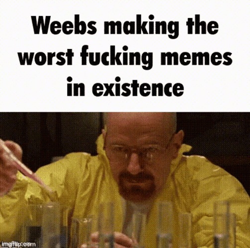 Weebs making the worst fucking memes in existence | image tagged in weebs making the worst fucking memes in existence | made w/ Imgflip meme maker