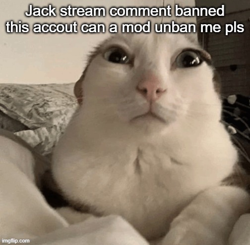 goober | Jack stream comment banned this accout can a mod unban me pls | image tagged in goober | made w/ Imgflip meme maker