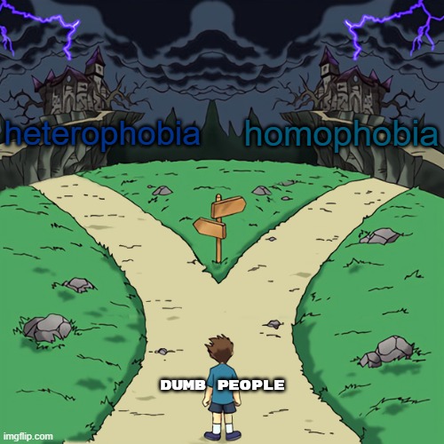 Two paths | heterophobia; homophobia; dumb people | image tagged in two paths | made w/ Imgflip meme maker
