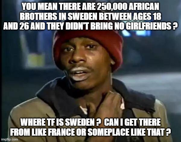 Y'all Got Any More Of That | YOU MEAN THERE ARE 250,000 AFRICAN BROTHERS IN SWEDEN BETWEEN AGES 18 AND 26 AND THEY DIDN'T BRING NO GIRLFRIENDS ? WHERE TF IS SWEDEN ?  CAN I GET THERE FROM LIKE FRANCE OR SOMEPLACE LIKE THAT ? | image tagged in memes,y'all got any more of that | made w/ Imgflip meme maker