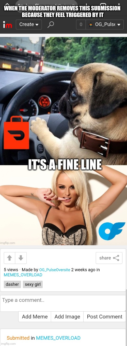WHEN THE MODERATOR REMOVES THIS SUBMISSION 
BECAUSE THEY FEEL TRIGGERED BY IT | image tagged in lame mods,karen sucks | made w/ Imgflip meme maker