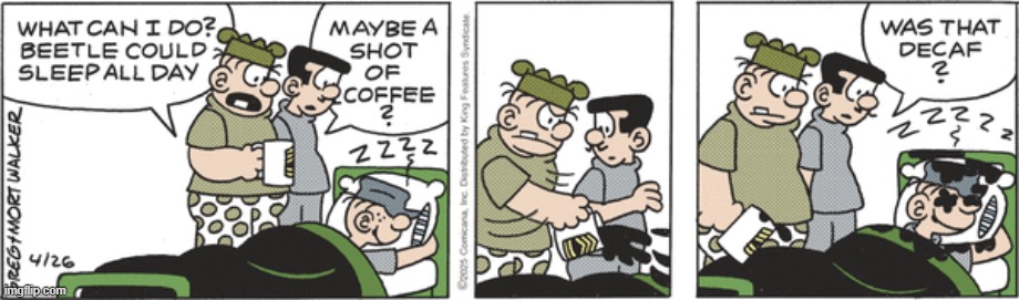 Beetle Bailey | image tagged in comics | made w/ Imgflip meme maker