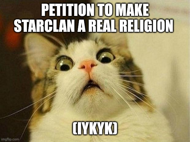 I would follow a bunch of spirit cats around and praise them 24/7, wouldn't you? | PETITION TO MAKE STARCLAN A REAL RELIGION; (IYKYK) | image tagged in memes,scared cat,warriors,cats | made w/ Imgflip meme maker