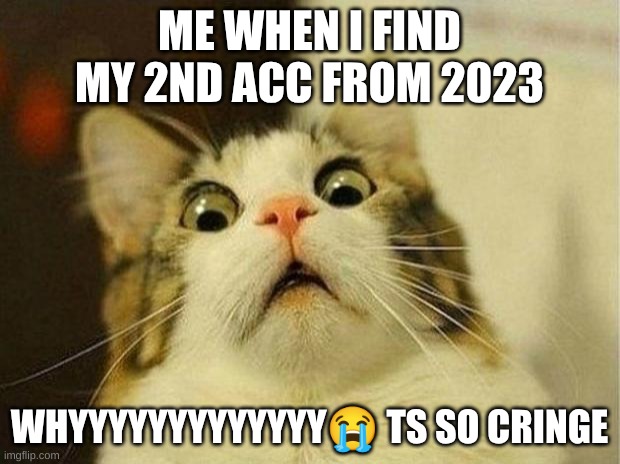 Scared Cat | ME WHEN I FIND MY 2ND ACC FROM 2023; WHYYYYYYYYYYYYY😭 TS SO CRINGE | image tagged in memes,scared cat | made w/ Imgflip meme maker