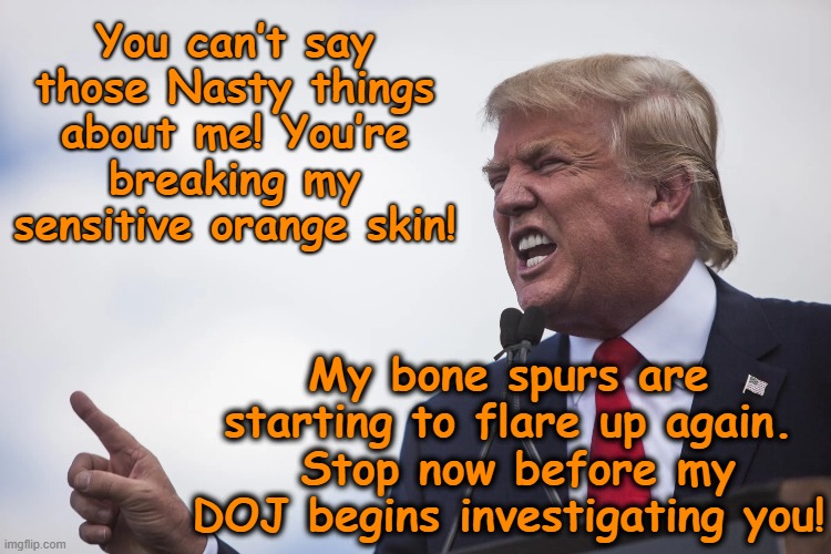 tRump, Sensitive Autocrat | You can’t say those Nasty things about me! You’re breaking my sensitive orange skin! My bone spurs are starting to flare up again.  Stop now before my DOJ begins investigating you! | image tagged in nevertrump,donald trump memes,maga,fascism,trump is a moron,donald trump the clown | made w/ Imgflip meme maker