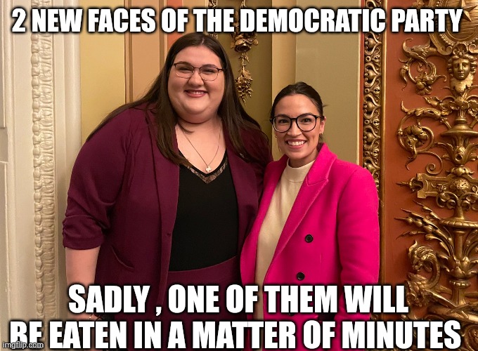 democrats memes | 2 NEW FACES OF THE DEMOCRATIC PARTY; SADLY , ONE OF THEM WILL BE EATEN IN A MATTER OF MINUTES | image tagged in democrats | made w/ Imgflip meme maker