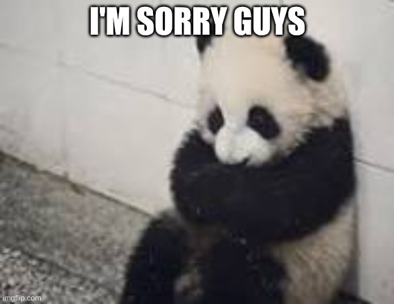 sad panda | I'M SORRY GUYS | image tagged in sad panda | made w/ Imgflip meme maker