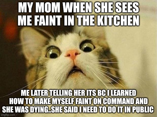 Scared Cat | MY MOM WHEN SHE SEES ME FAINT IN THE KITCHEN; ME LATER TELLING HER ITS BC I LEARNED HOW TO MAKE MYSELF FAINT ON COMMAND AND SHE WAS DYING..SHE SAID I NEED TO DO IT IN PUBLIC | image tagged in memes,scared cat | made w/ Imgflip meme maker