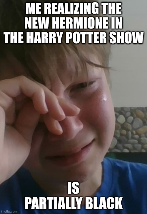 We used to be able to call Hermione hot. This will be a great loss to society. We miss you, Emma. | ME REALIZING THE NEW HERMIONE IN THE HARRY POTTER SHOW; IS PARTIALLY BLACK | image tagged in crying og | made w/ Imgflip meme maker