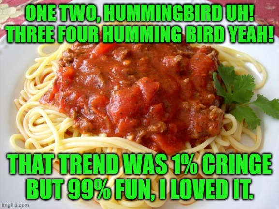 2037, Nu-00000C6Z0 | ONE TWO, HUMMINGBIRD UH! THREE FOUR HUMMING BIRD YEAH! THAT TREND WAS 1% CRINGE BUT 99% FUN, I LOVED IT. | image tagged in spaghetti | made w/ Imgflip meme maker