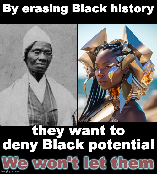 blank black | By erasing Black history they want to deny Black potential We won't let them | image tagged in blank black | made w/ Imgflip meme maker