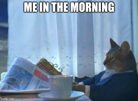 Am I the only one | ME IN THE MORNING | image tagged in memes,i should buy a boat cat | made w/ Imgflip meme maker