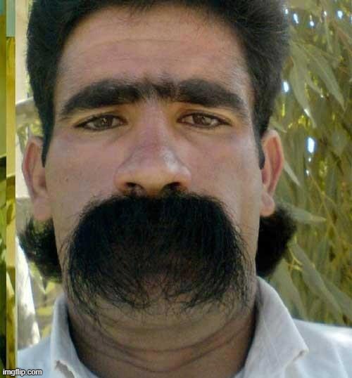 Moustache | image tagged in moustache | made w/ Imgflip meme maker