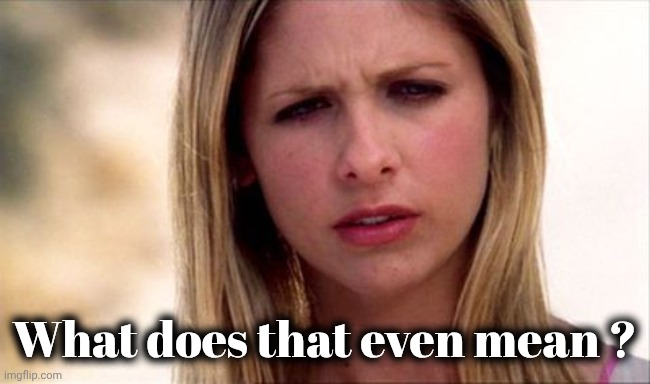 Buffy The Vampire Slayer WTF | What does that even mean ? | image tagged in buffy the vampire slayer wtf | made w/ Imgflip meme maker
