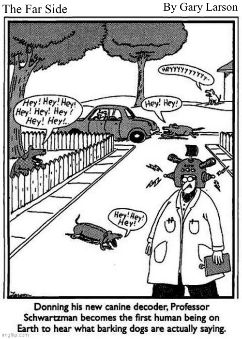 By Gary Larson; The Far Side | image tagged in comics,the far side,scientist,dog translator | made w/ Imgflip meme maker