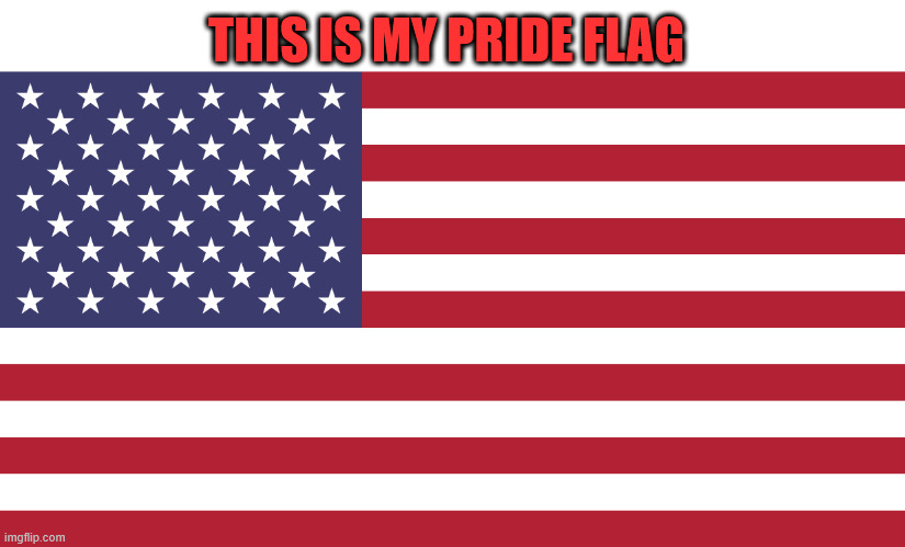 MY PRIDE FLAG | THIS IS MY PRIDE FLAG | image tagged in flag of usa,real pride flag | made w/ Imgflip meme maker