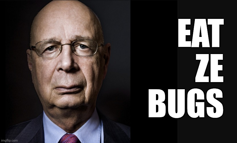 Klaus Schwab | EAT
ZE
BUGS | image tagged in klaus schwab | made w/ Imgflip meme maker