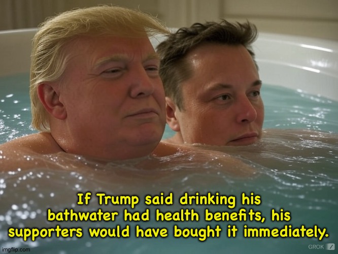 Donald Trump Elon Musk #elonald bath tub | If Trump said drinking his bathwater had health benefits, his supporters would have bought it immediately. | image tagged in donald trump elon musk elonald bath tub | made w/ Imgflip meme maker