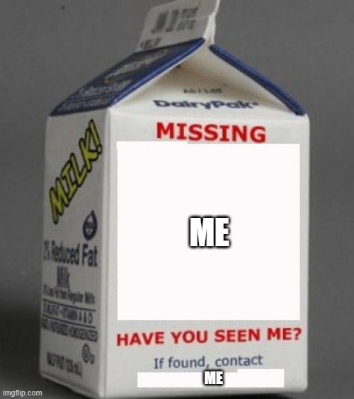 no sense | ME; ME | image tagged in milk carton | made w/ Imgflip meme maker