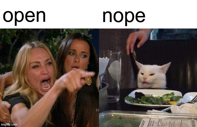 Woman Yelling At Cat Meme | open nope | image tagged in memes,woman yelling at cat | made w/ Imgflip meme maker