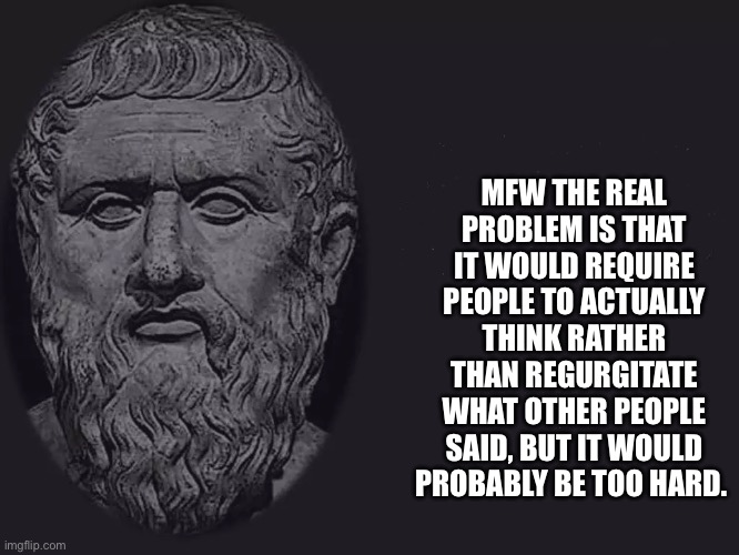 philosophy blank | MFW THE REAL PROBLEM IS THAT IT WOULD REQUIRE PEOPLE TO ACTUALLY THINK RATHER THAN REGURGITATE WHAT OTHER PEOPLE SAID, BUT IT WOULD PROBABLY BE TOO HARD. | image tagged in philosophy blank | made w/ Imgflip meme maker