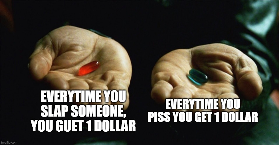 hard choice | EVERYTIME YOU SLAP SOMEONE, YOU GUET 1 DOLLAR; EVERYTIME YOU PISS YOU GET 1 DOLLAR | image tagged in red pill blue pill | made w/ Imgflip meme maker
