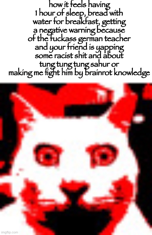 weed | how it feels having 1 hour of sleep, bread with water for breakfast, getting a negative warning because of the fuckass german teacher and your friend is yapping some racist shit and about tung tung tung sahur or making me fight him by brainrot knowledge | image tagged in weed | made w/ Imgflip meme maker