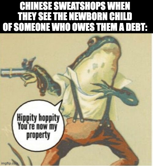 Shein | CHINESE SWEATSHOPS WHEN THEY SEE THE NEWBORN CHILD OF SOMEONE WHO OWES THEM A DEBT: | image tagged in hippity hoppity you're now my property,dark humor,memes,china,sweatshop | made w/ Imgflip meme maker