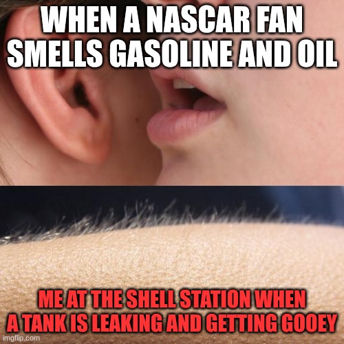 Whisper and Goosebumps | WHEN A NASCAR FAN SMELLS GASOLINE AND OIL; ME AT THE SHELL STATION WHEN A TANK IS LEAKING AND GETTING GOOEY | image tagged in whisper and goosebumps | made w/ Imgflip meme maker