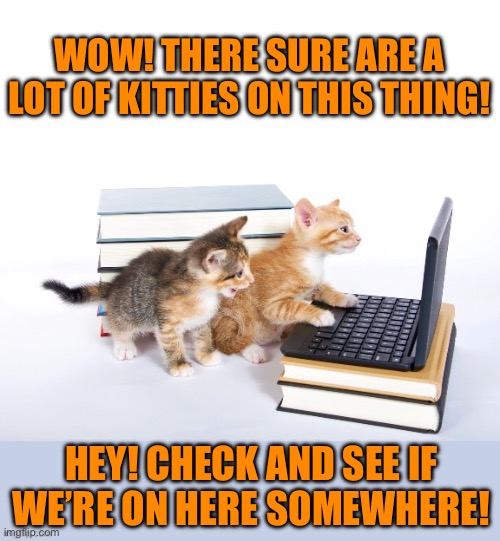 There might be a few… | WOW! THERE SURE ARE A LOT OF KITTIES ON THIS THING! HEY! CHECK AND SEE IF WE’RE ON HERE SOMEWHERE! | image tagged in cats,kittens,computer | made w/ Imgflip meme maker