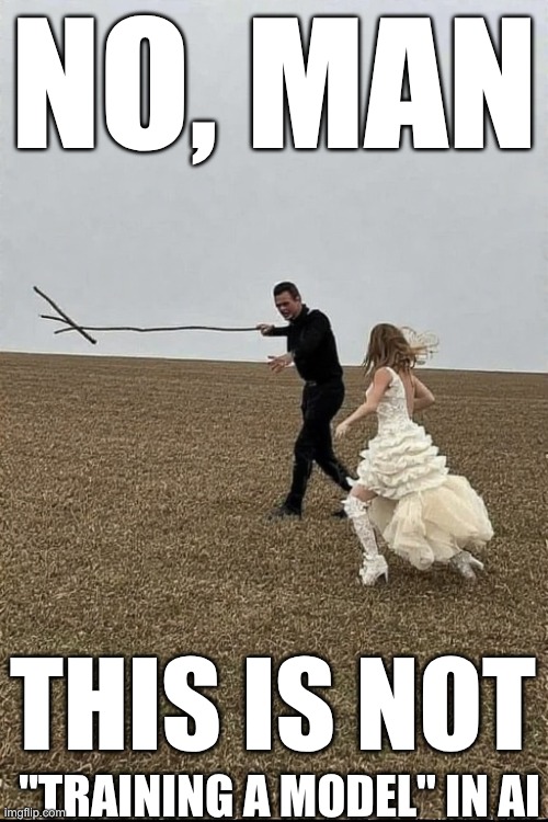Training a model | NO, MAN; THIS IS NOT; "TRAINING A MODEL" IN AI | image tagged in fun,ai meme,model | made w/ Imgflip meme maker