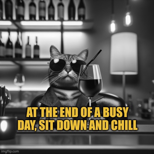 At the end of a busy day take time to sit down and chill | AT THE END OF A BUSY DAY, SIT DOWN AND CHILL | image tagged in chill,relax,downtime | made w/ Imgflip meme maker