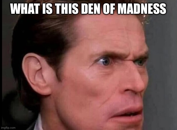 WHAT IS THIS DEN OF MADNESS | made w/ Imgflip meme maker