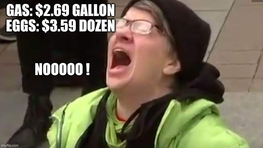 Screaming Liberal  | GAS: $2.69 GALLON
EGGS: $3.59 DOZEN NOOOOO ! | image tagged in screaming liberal | made w/ Imgflip meme maker