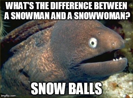 Bad Joke Eel Meme | WHAT'S THE DIFFERENCE BETWEEN A SNOWMAN AND A SNOWWOMAN? SNOW BALLS | image tagged in memes,bad joke eel | made w/ Imgflip meme maker