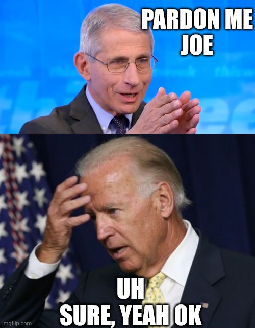 PARDON ME
JOE UH
SURE, YEAH OK | image tagged in dr fauci 2020,joe biden worries | made w/ Imgflip meme maker